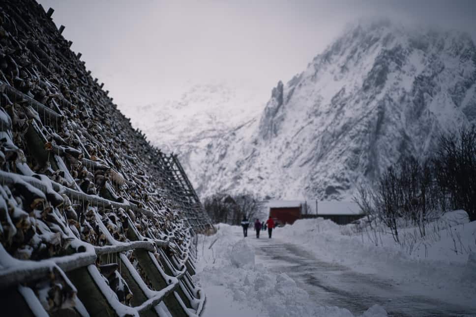 Svinøya Rorbuer Lofoten Islands: review of a great stay in Norway Stockfish Svinøya Island Svolvaer Lofoten