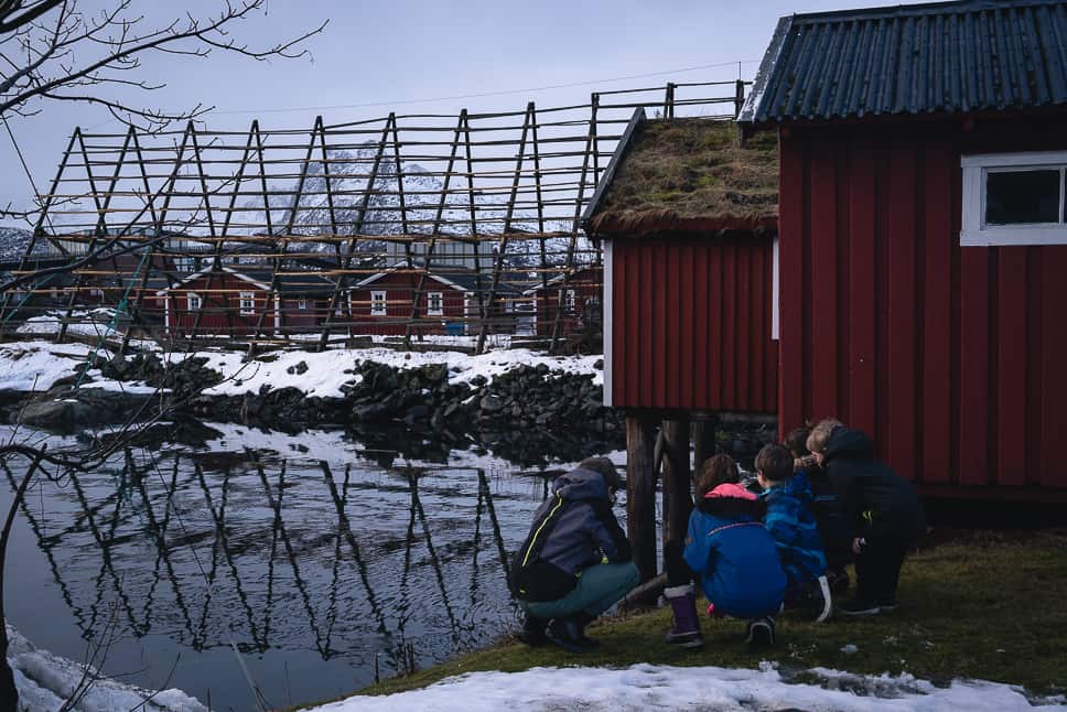 Svinøya Rorbuer Lofoten Islands: review of a great stay in Norway Svinoya Rorbuer Lofoten Islands Review Norway