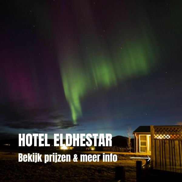Unieke accommodaties in IJsland: 10 bijzondere verblijven in IJsland Verblijven op een paardenboerderij in IJsland Hotel Eldhestar
