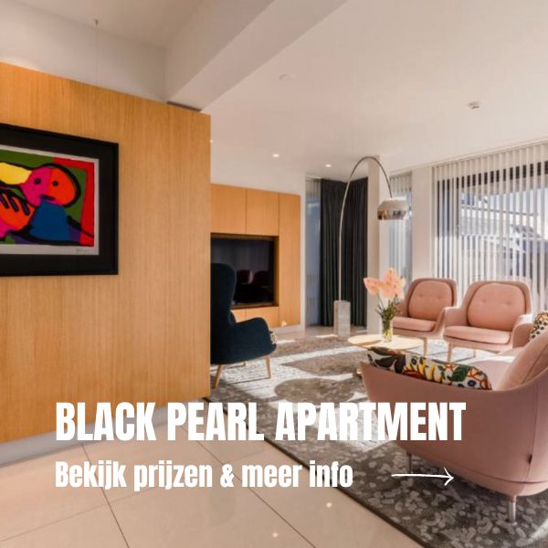Unieke accommodaties in IJsland: 10 bijzondere verblijven in IJsland Black Pearl Apartment Overnachten Reykjavik