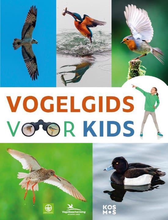 Kampeer cadeaus voor kinderen: 50+ fun kampeer cadeaus ideetjes voor kinderen. Vogelgids Voor Kids Kamperen