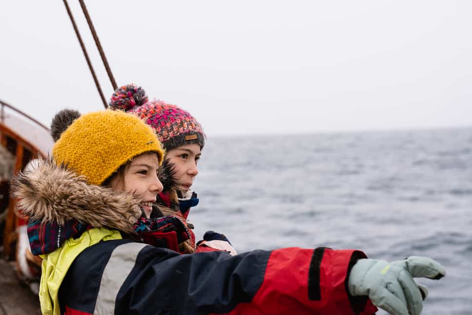 Whale watching Iceland April Husavik