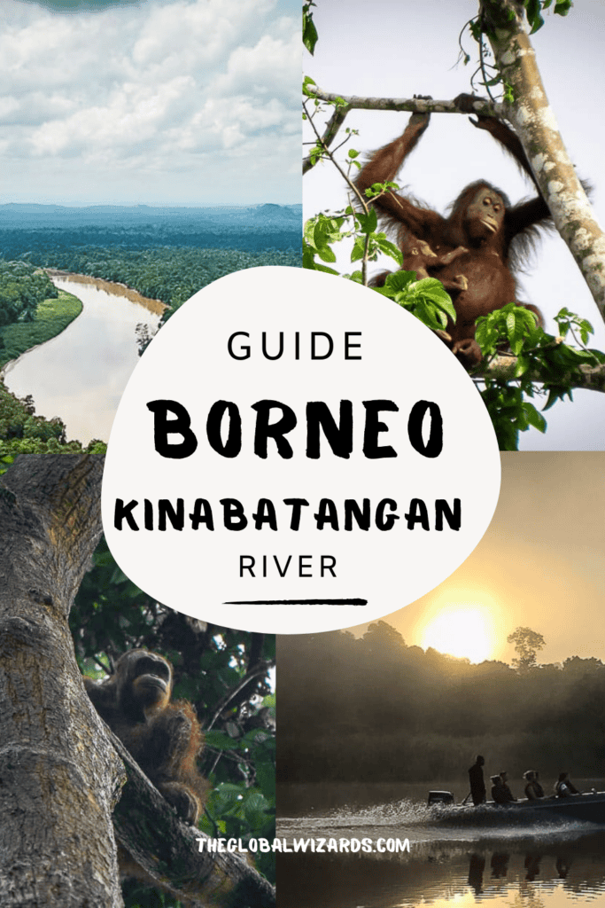 Kinabatangan River Borneo: guide to a bucket list jungle experience Guide Borneo Kinabatangan River