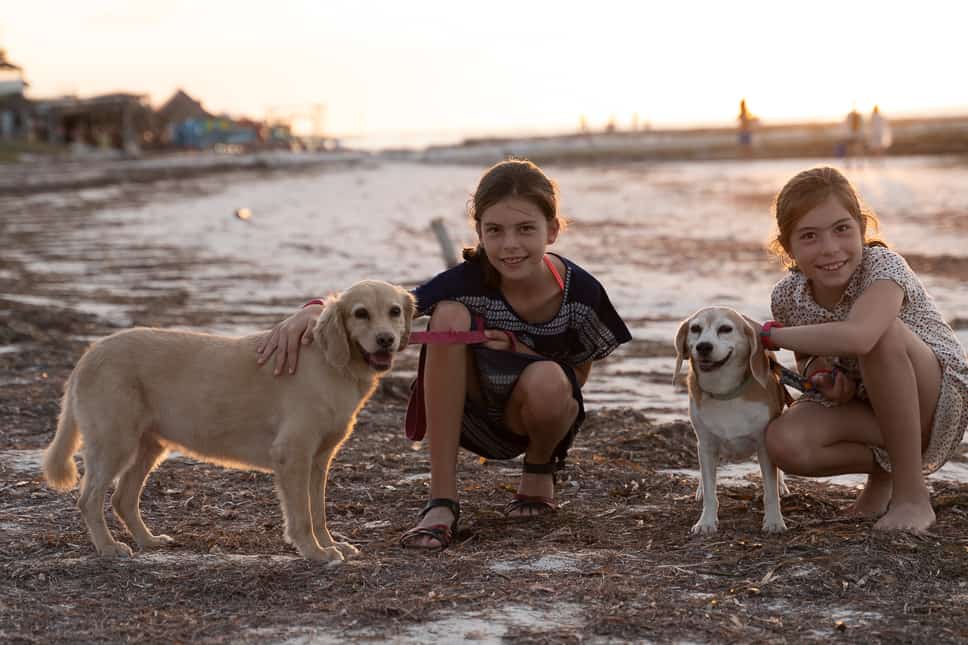 What to do in Isla Holbox Mexico: 10 Best things to do what to to in holbox - walking the dogs