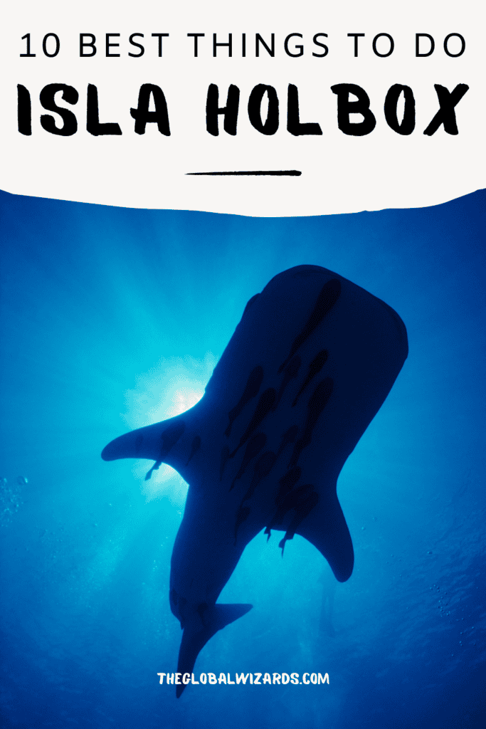 What to do in Isla Holbox Mexico: 10 Best things to do Best Things To Do In Isla Holbox 2 683x1024