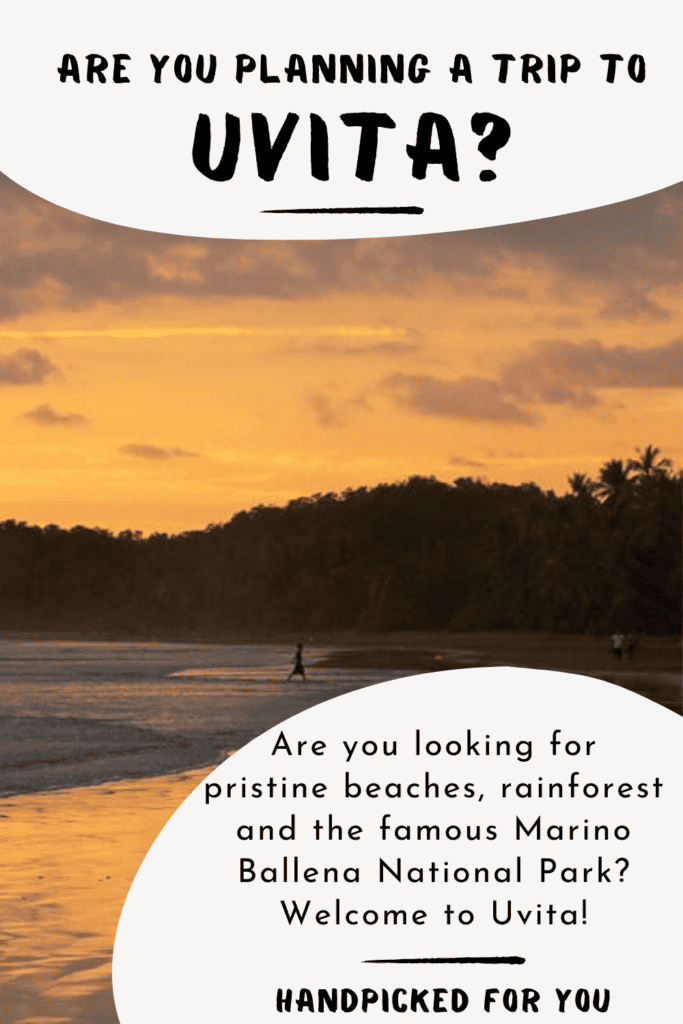 Things to do in Uvita Costa Rica Best Things To Do In Uvita In Costa Rica 2 683x1024