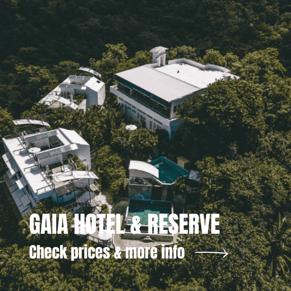 Costa Rica Itinerary 10 days: The perfect road trip for your visit Where To Stay In Manuel Antonio National Park 3