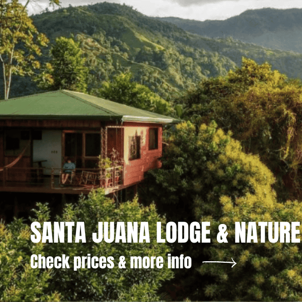 Costa Rica Itinerary 10 days: The perfect road trip for your visit Where To Stay In Manuel Antonio National Park