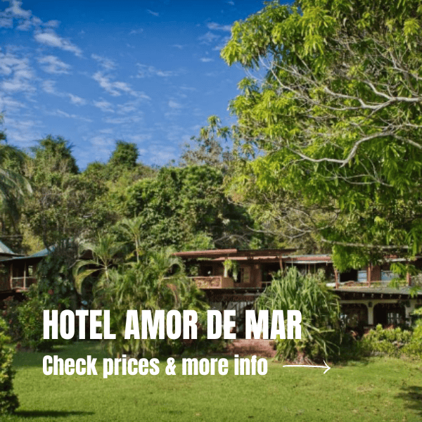 Costa Rica Itinerary 10 days: The perfect road trip for your visit Where To Stay In Montezuma Costa Rica 1 2