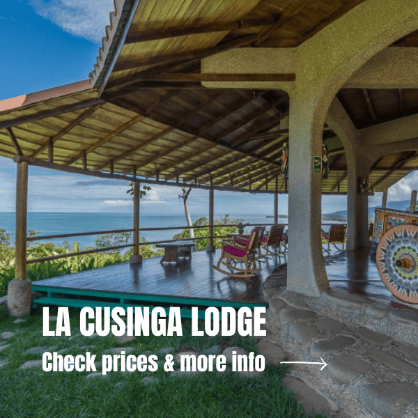 Costa Rica Itinerary 10 days: The perfect road trip for your visit Where To Stay In Uvita Costa Rica 2
