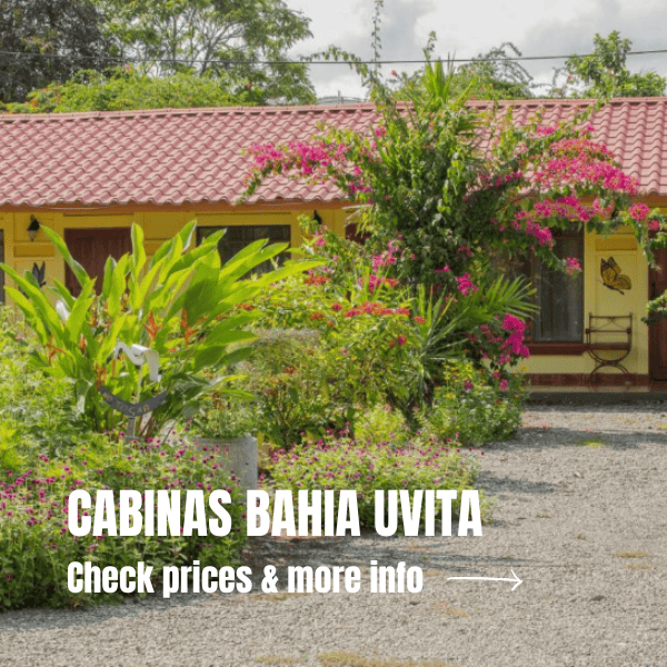 Costa Rica Itinerary 10 days: The perfect road trip for your visit Where To Stay In Uvita Costa Rica 3