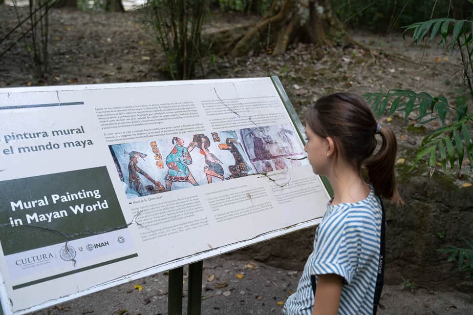 Yucatan Road Trip Itinerary: 2 weeks in Mexico reading about the maya culture in calakmul