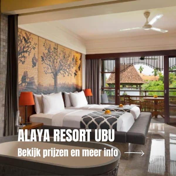 De ideale rondreis in Bali met kinderen + tips 2 1