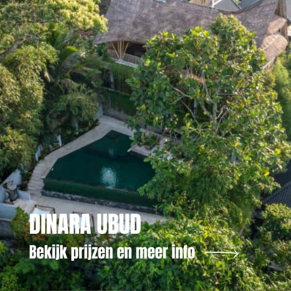 De ideale rondreis in Bali met kinderen + tips 3 1