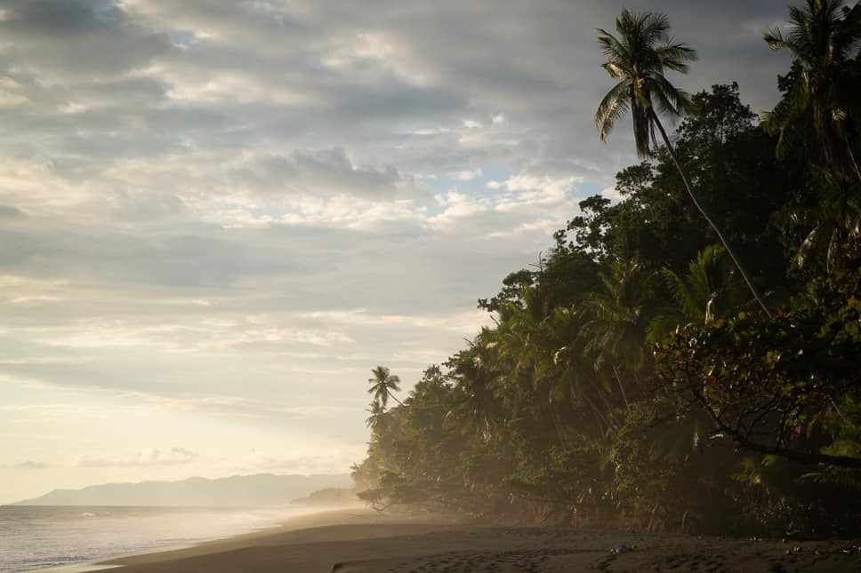 25 Travel Tips for Costa Rica: Things to know before you go Corcovado Uvita Bahia 1