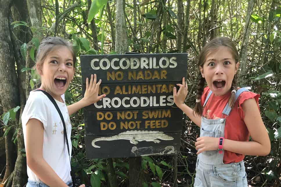 25 Travel Tips for Costa Rica: Things to know before you go Travel Tips Costa Rica Animals