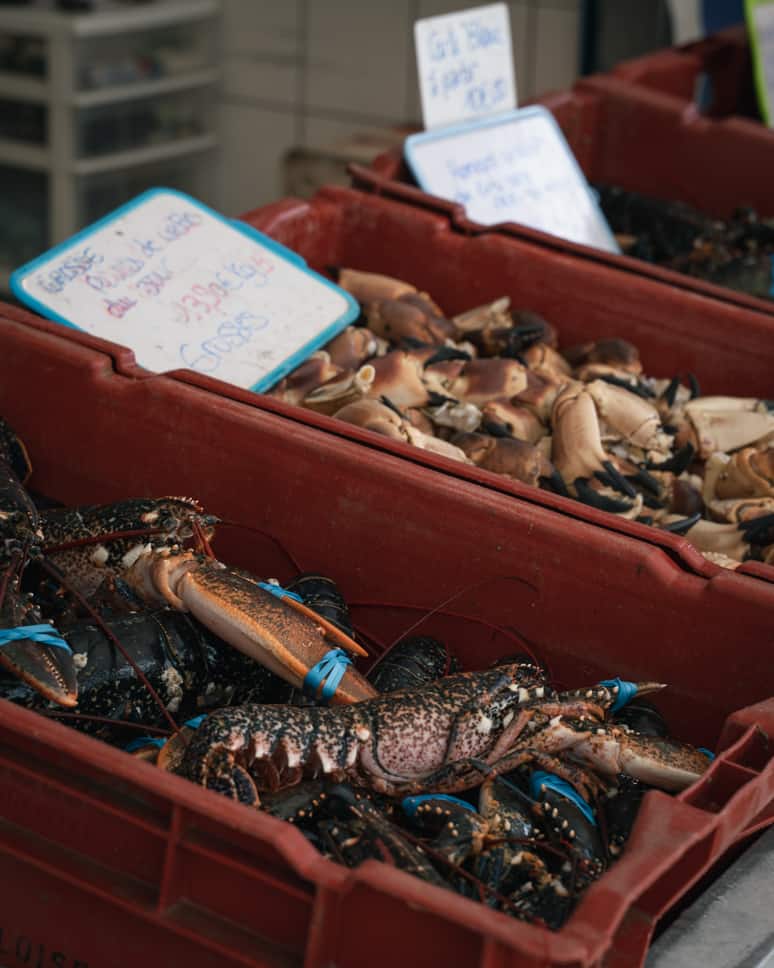 Nausicaá aquarium and Evancy in Boulogne-Sur-Mer Boulogne-sur-Mer fish market harbour