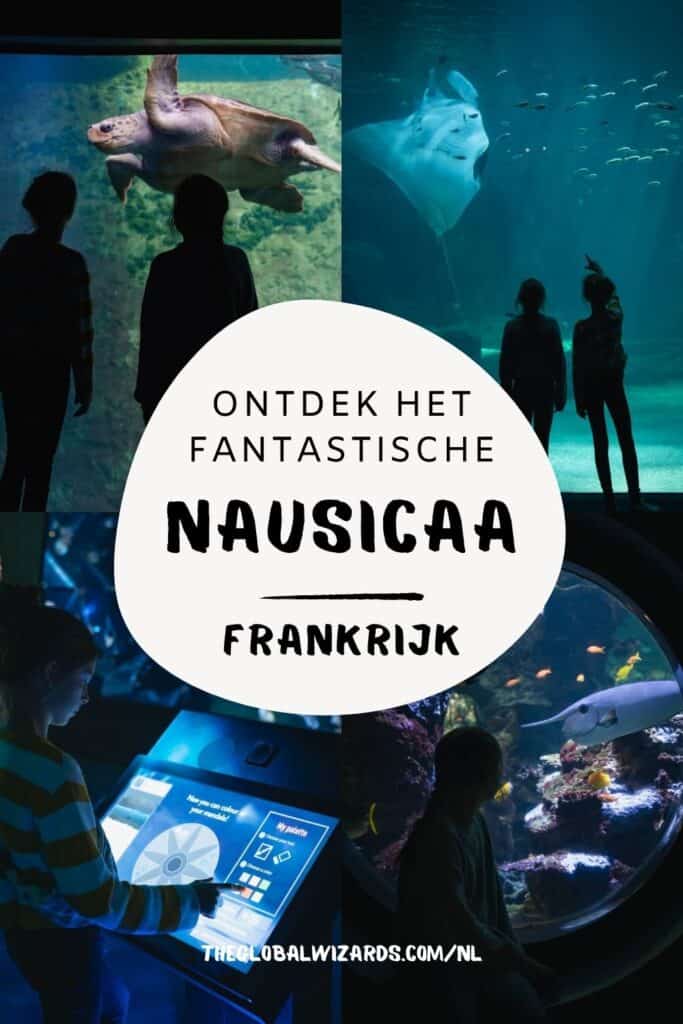 Nausicaá aquarium en Evancy in Boulogne-Sur-Mer Nausicaa Aquarium Gezin Daguistap Frankrijk