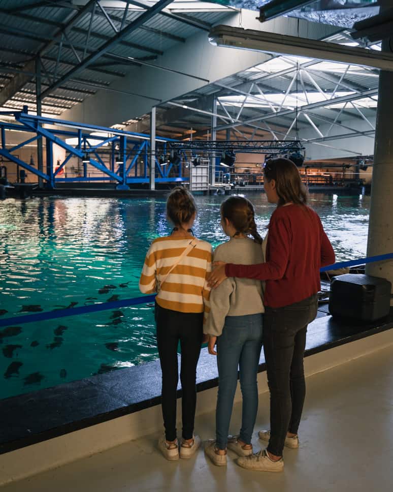 Nausicaá aquarium and Evancy in Boulogne-Sur-Mer Nausicaa aquarium behind the scenes tour