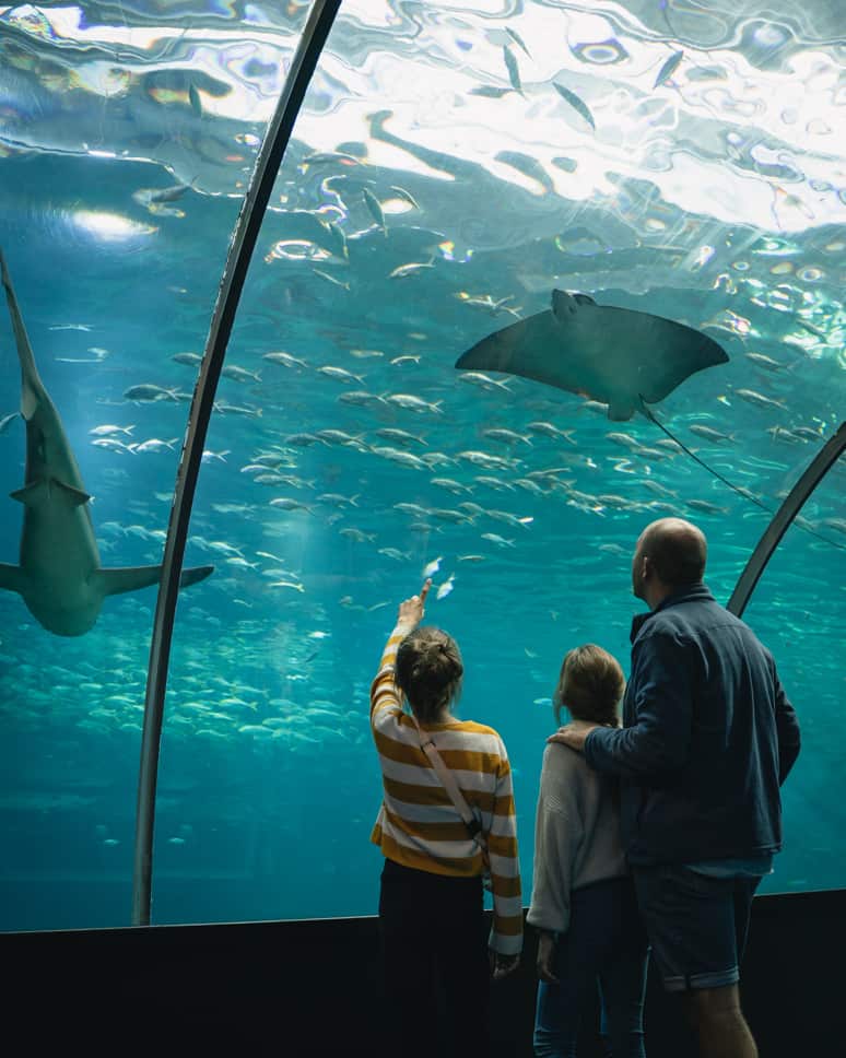 Nausicaá aquarium and Evancy in Boulogne-Sur-Mer Tunnel under the largest aquarium Europa Nausicaa