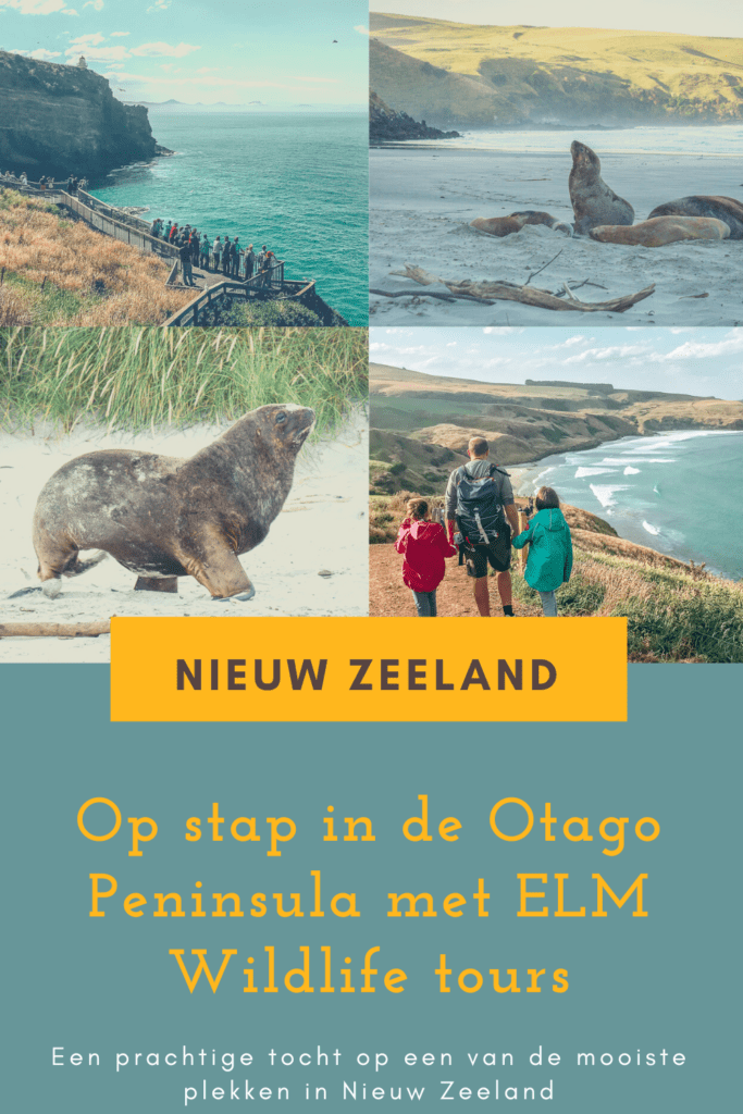 Verken het Otago schiereiland met ELM Wildlife Tours Otago Peninsula Wildlife NIEUW ZEELAND 683x1024