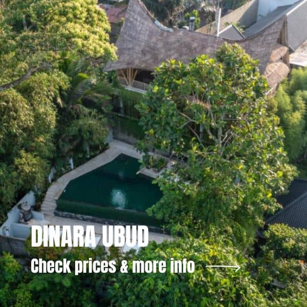 The perfect itinerary Bali - with kids + tips for Bali Where To Stay In Ubud Bali
