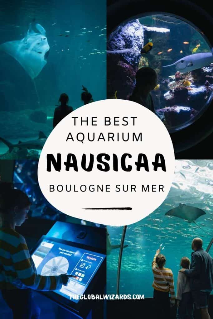 Nausicaá aquarium and Evancy in Boulogne-Sur-Mer Nausicaa The Best Aquarium In Boulogne Sur Mer 683x1024