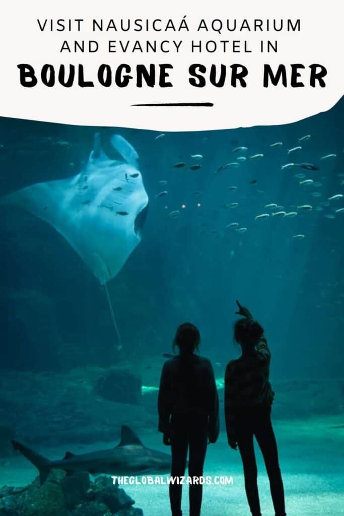 Nausicaá aquarium and Evancy in Boulogne-Sur-Mer Nausicaa The Best Aquarium In Boulogne Sur Mer And The Evancy Hotel 683x1024