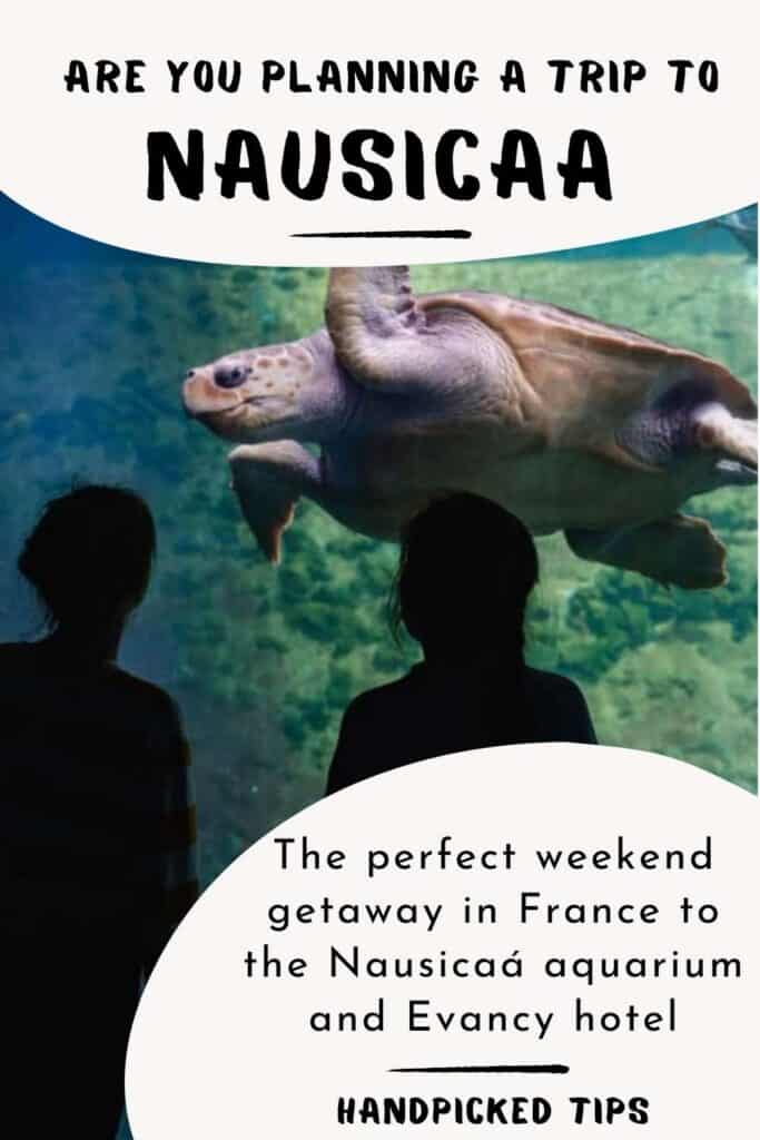 Nausicaá aquarium and Evancy in Boulogne-Sur-Mer Nausicaa The Best Aquarium In Boulogne Sur Mer. Plan A Perfect Weekend Getaway 683x1024
