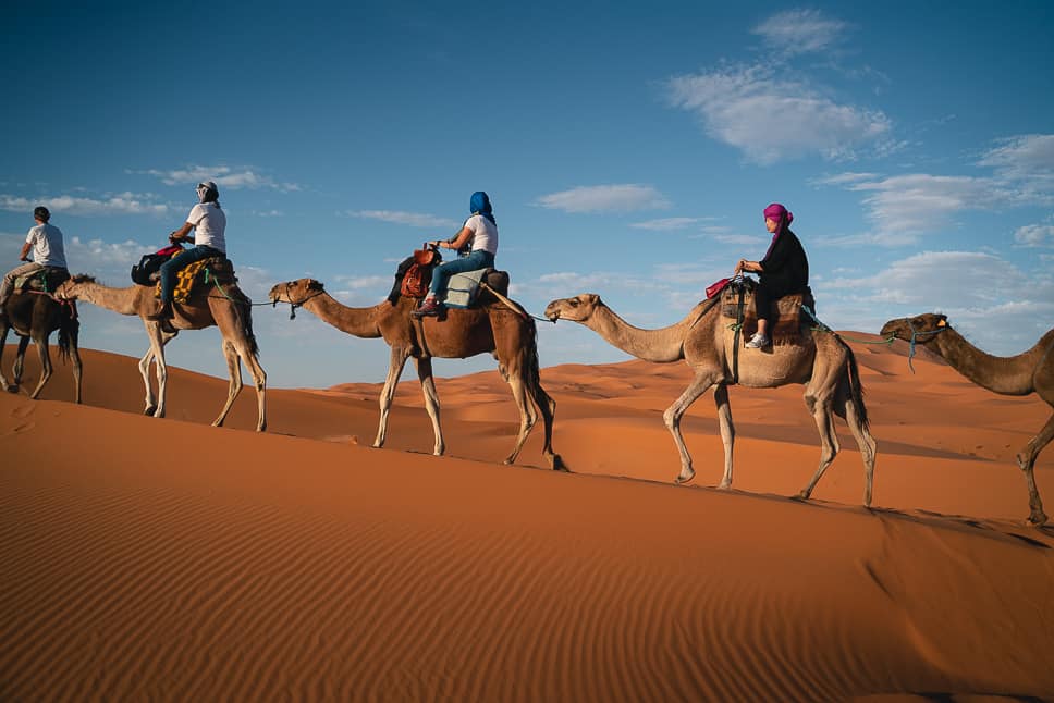 Essential travel tips and fun facts about Morocco Travel tips Morocco camel ride