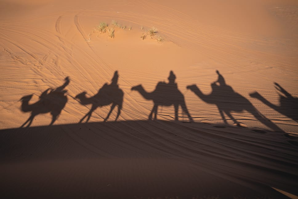 Merzouga desert Morocco Sunset Dromedary