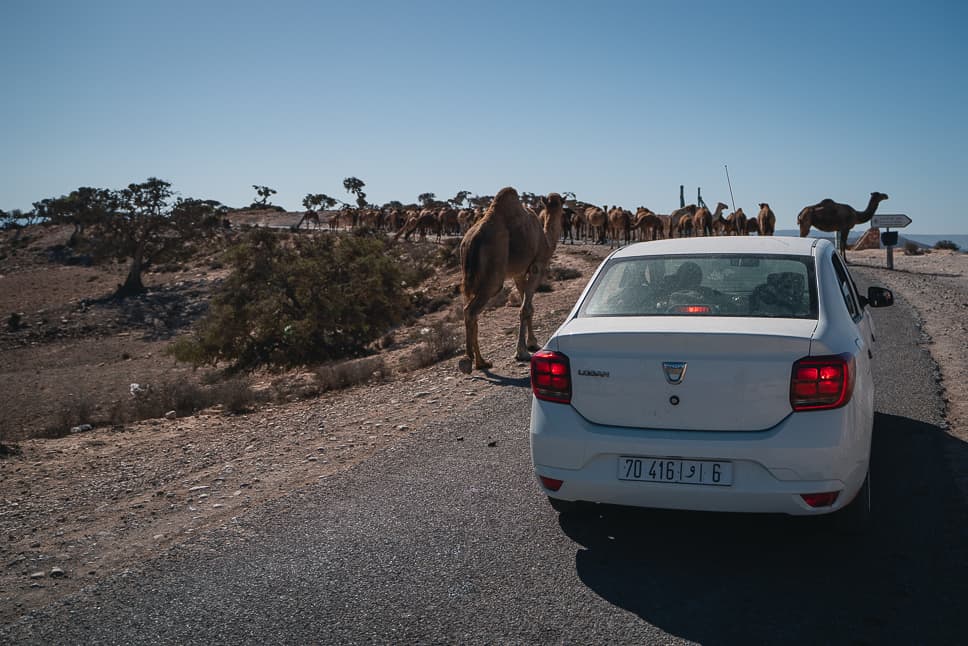 Morocco 10-Day itinerary: a Morocco travel guide Rent a car driving Morocco