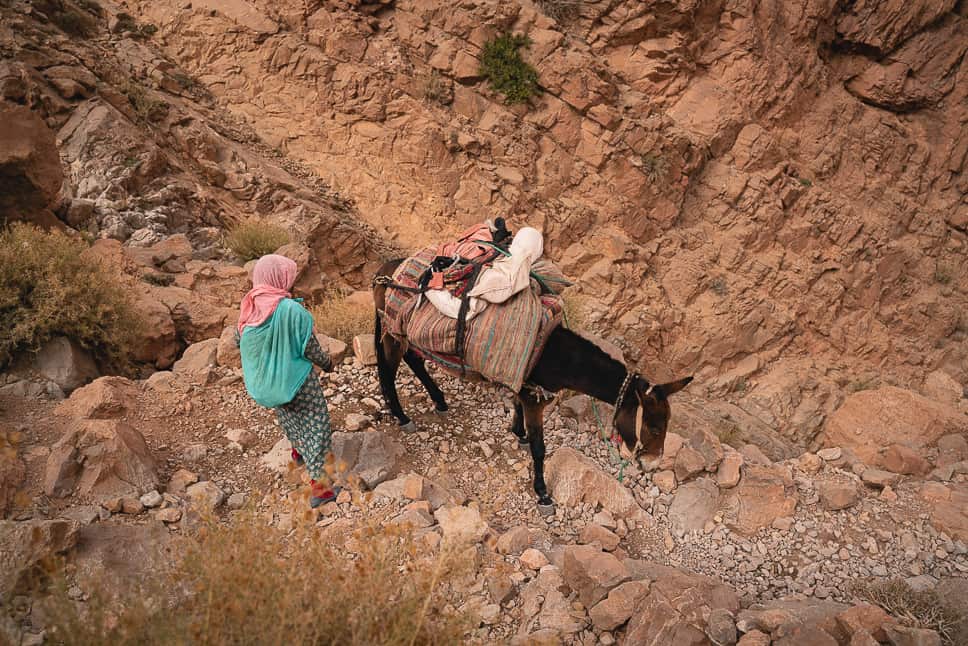 Nomads Todra Gorge Hike Donkey