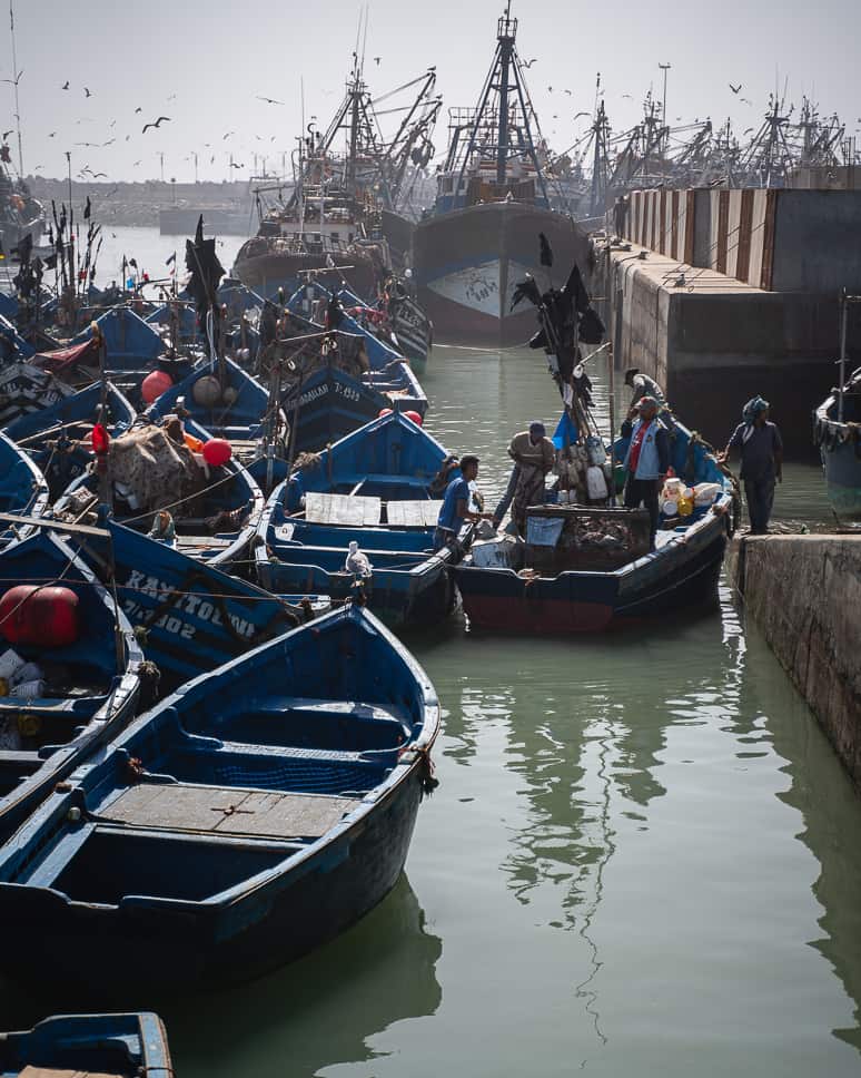 What to do in Essaouira: the medina, the beaches and Game of thrones Essaouira Things to do Harbour Fishermen