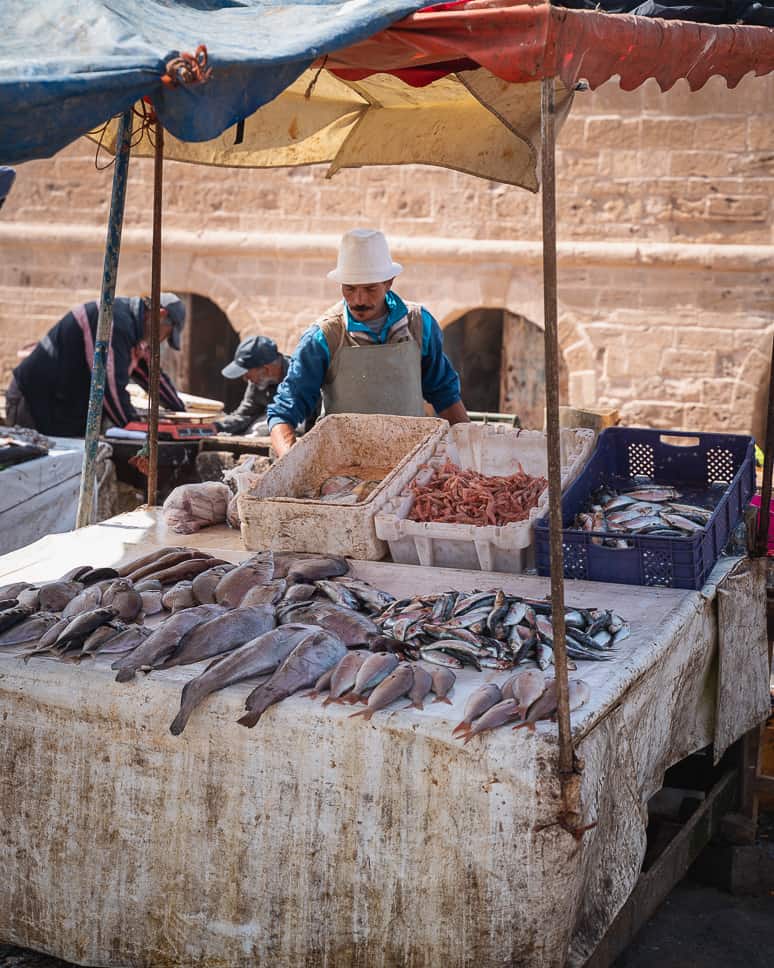 What to do in Essaouira: the medina, the beaches and Game of thrones Essaouira Fish harbour