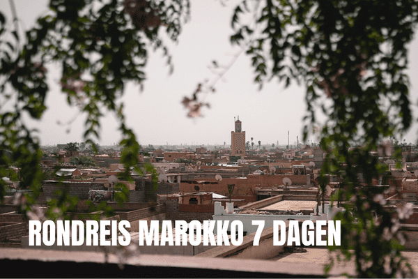 Verken de prachtige koningssteden in Marokko Rondreis Marokko 7 Dagen
