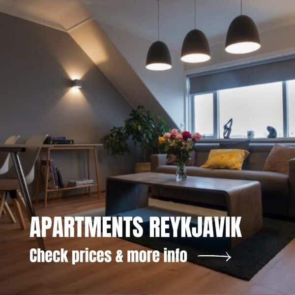 The best things to do in Reykjavik, Iceland + TIPS 2