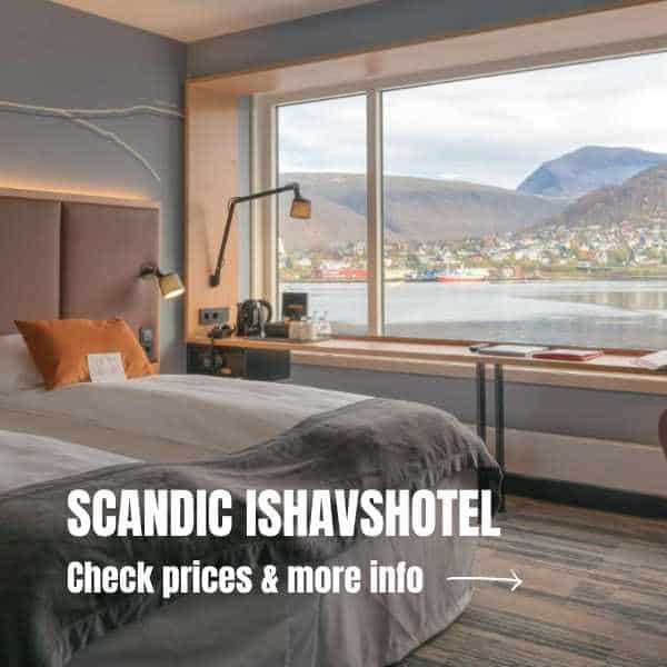 Best things to do in Tromsø in December 3