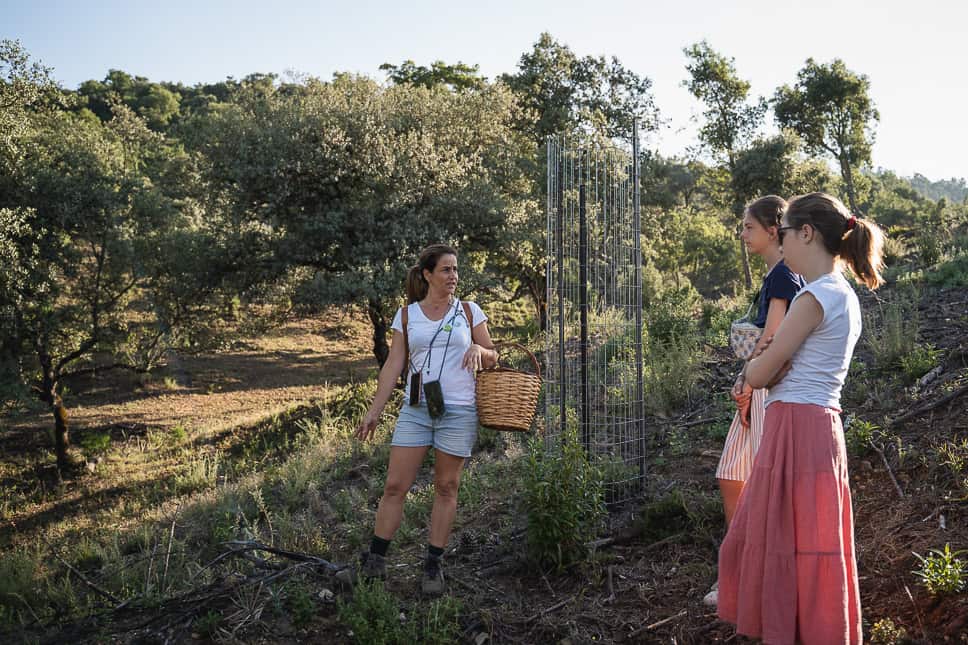 Sierra de Aracena y Picos de Aroche Natural Park in Spanje Familie activiteiten duurzaam ecotoerisme Spanje Aracena
