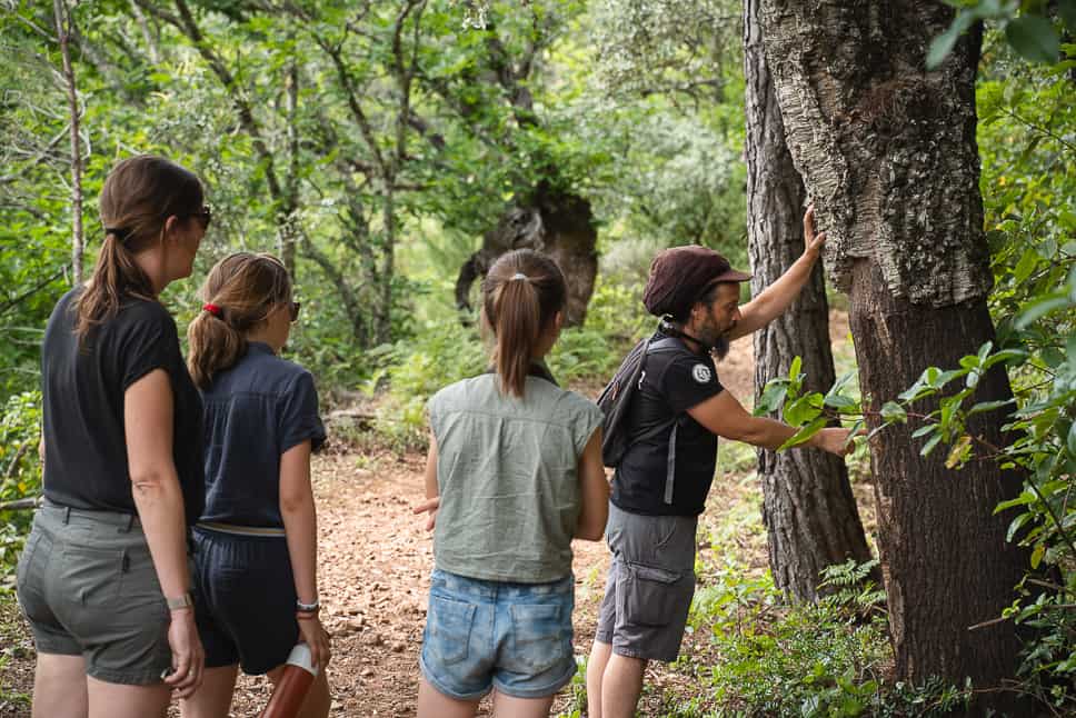 Sierra de Aracena y Picos de Aroche Natural Park in Spanje Eco friendly sustainable tour Spain Lynxaia Huelva