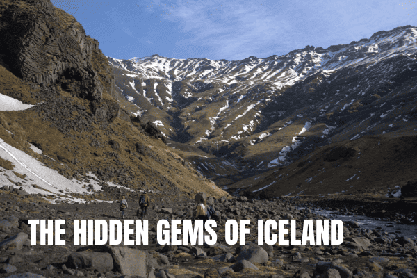 Whale Watching in Iceland: Where and When + Our Top Tips The hidden gems of Iceland