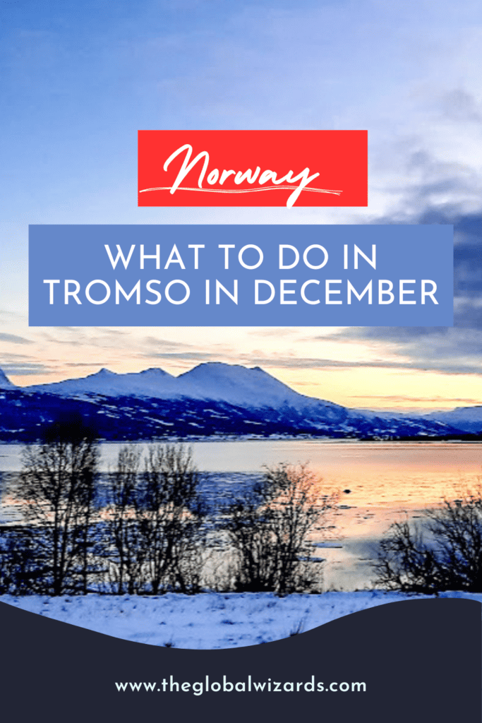 Tromso In December 683x1024