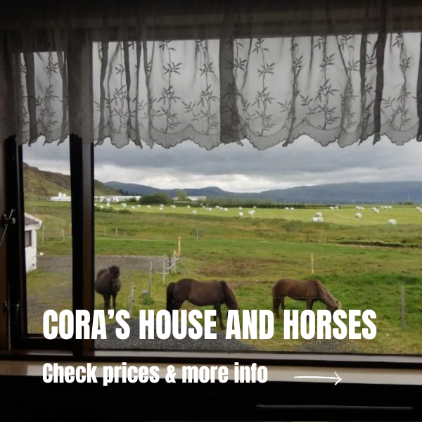 Unique accommodations in Iceland: 10 beautiful stays in Iceland where to stay in Iceland - Cora's house and horses