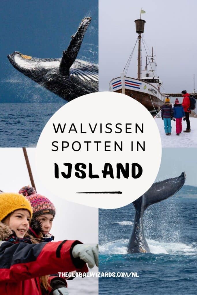 Walvissen spotten in IJsland: waar en wanneer + onze beste tips IJsland walvissen