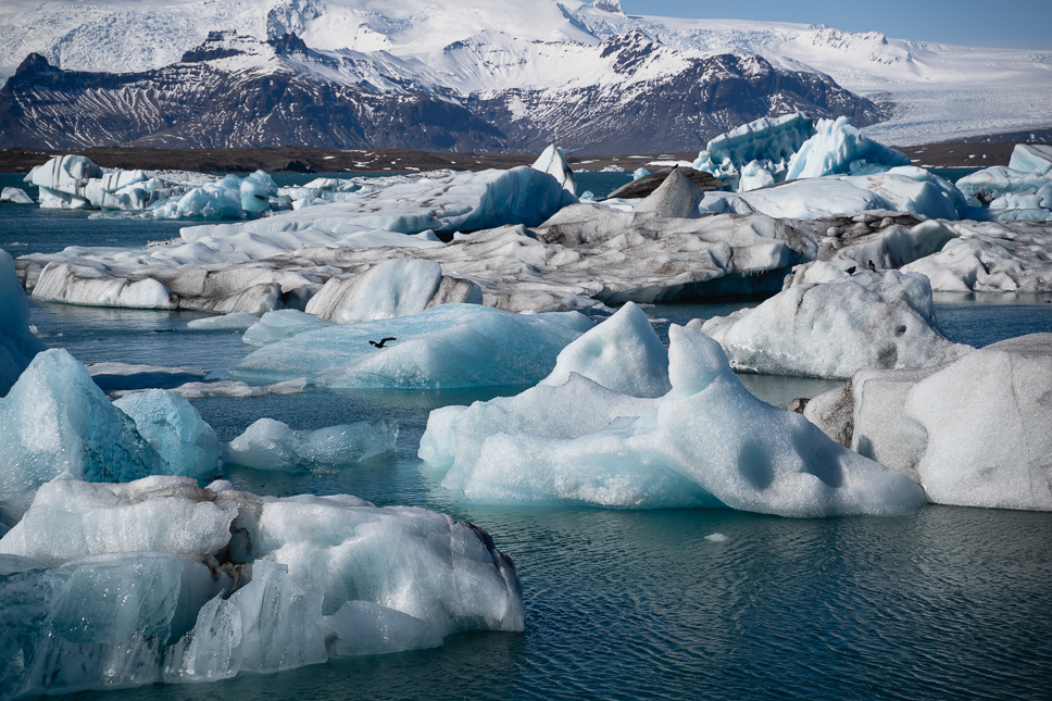 20+ Best things to do in Iceland: Our Ultimate Iceland Bucket List Icebergs in the glacial lagoon of Jökulsárlón in South Iceland with snow-capped mountains in the background