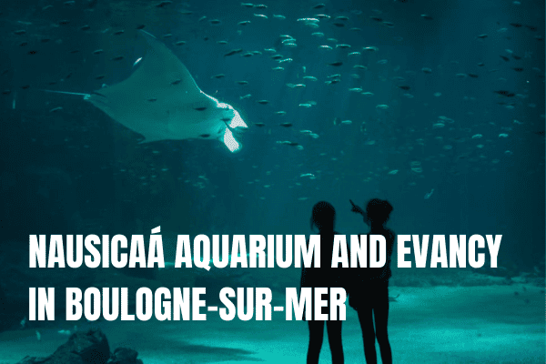 20x the best things to do in Provence, France Nausicaa Aquarium and evency in Boulogne Sur Mer