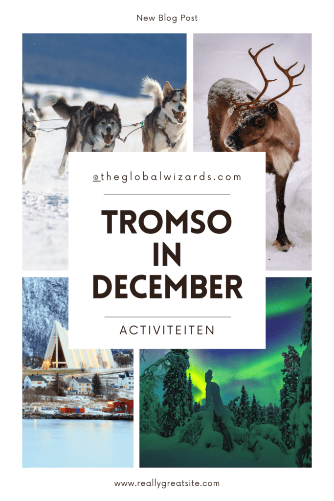 TROMSO IN DECEMBER 683x1024