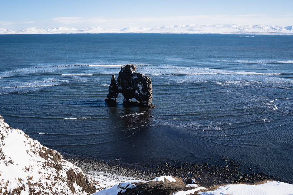 picture of the hvitserkur rock in iceland