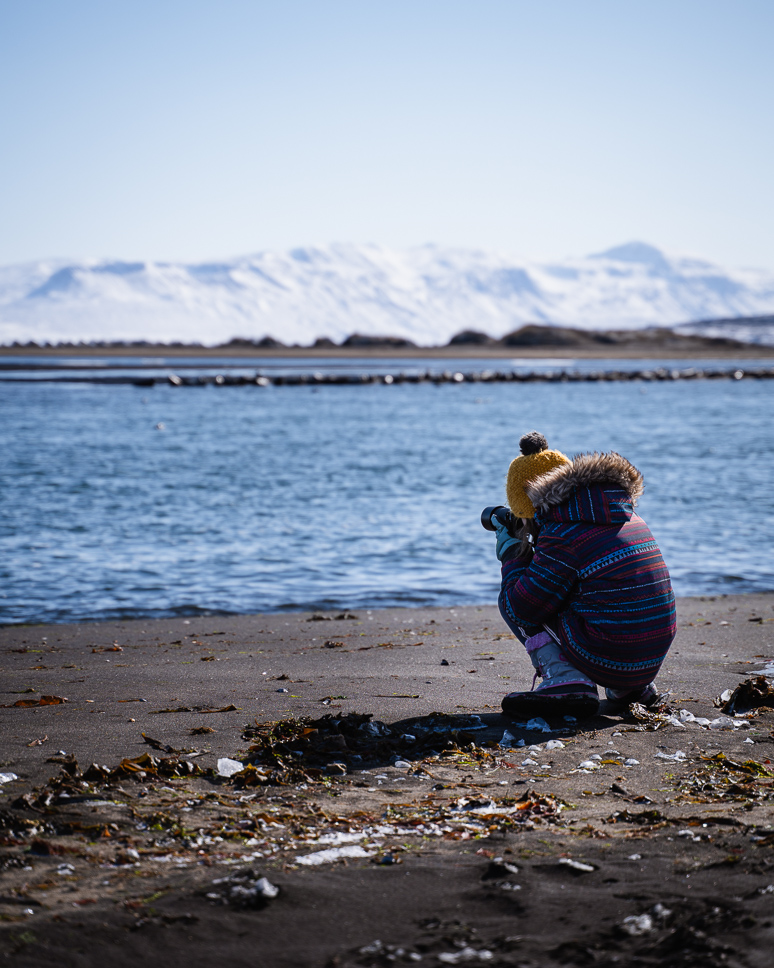 kid taking pictures at the black beach in hvitserkur in iceland