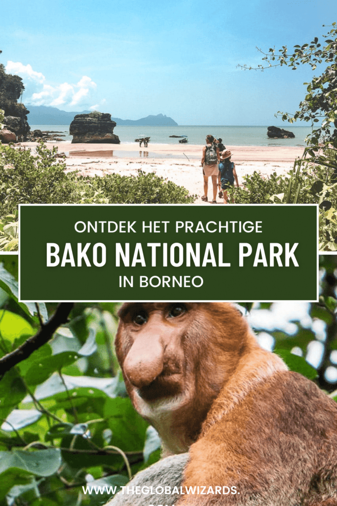 Bako National Park: een complete gids voor jouw bezoek BAKO NATIONAL PARK 1 683x1024